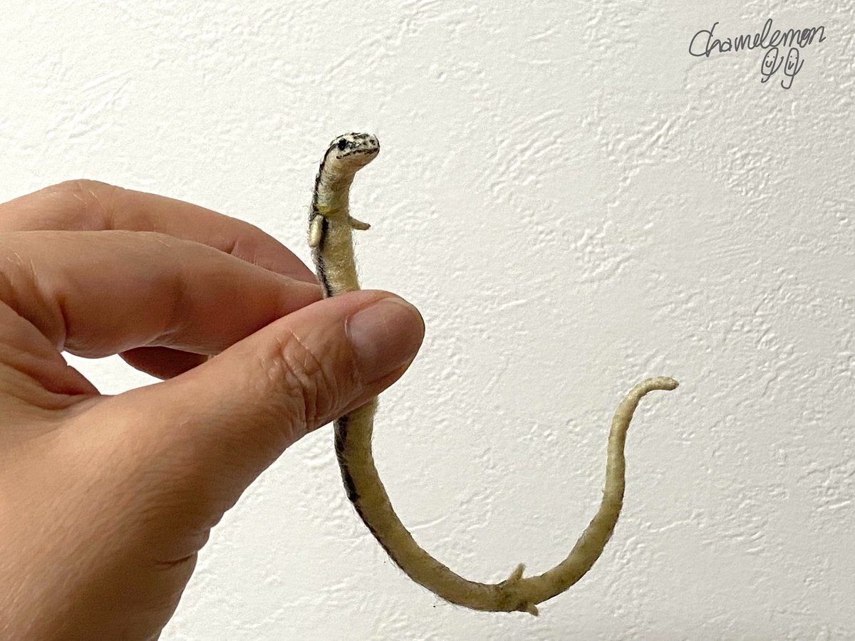 ＊WOOL ART＊

#爬虫類フリマ に向けての製作に、まさかのアンドロンゴをリクエスト頂きまして😆早速、実寸サイズで作ってしまいましたょ♪というわけで、遠目でみたらそれなりに😁実寸なので、この子を持つとハンドリングのイメージができます笑

#ミスジアンドロンゴスキンク
#カメレもんWOOL