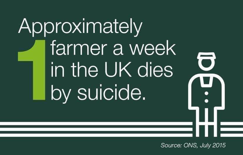 This is such a sad statistic. Don't suffer in silence!