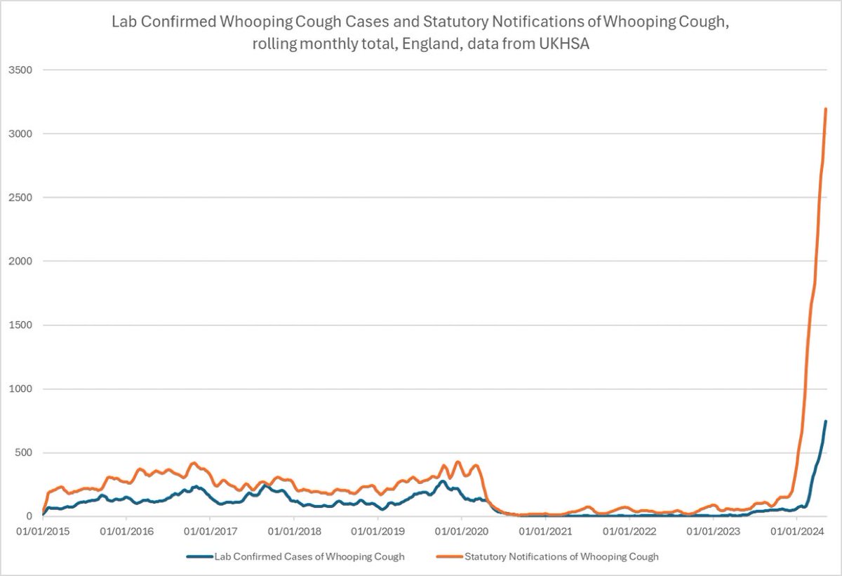 This is America’s future if anti-vax king RFK Jr is elected, or if anti-school-vaccine-rules Trump is elected. (Graph: Whooping Cough epidemic in England and Wales after devastating drop in childhood vaccinations.)