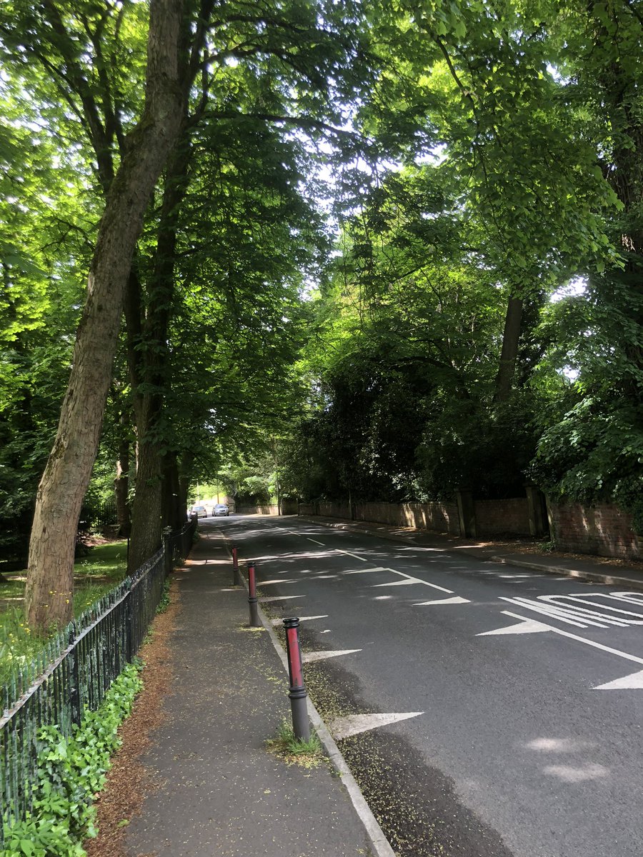 I’ve lived here for 37 years now. I love walking along this road when the trees are green