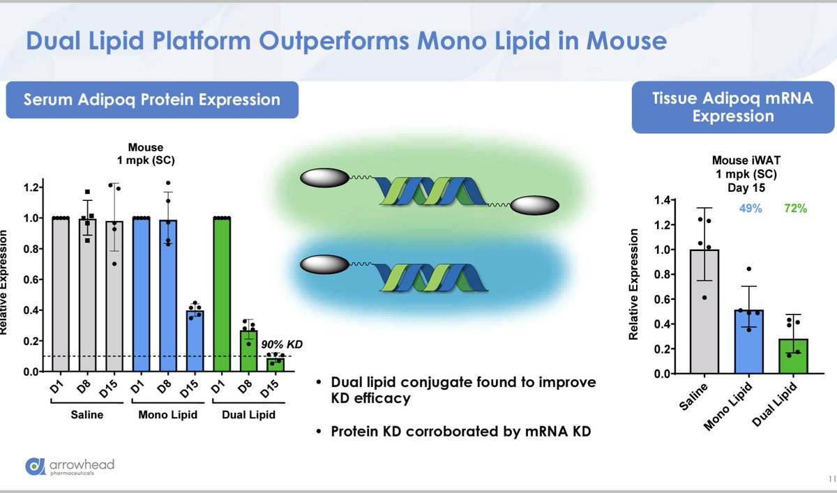 Dual lipid platform! Wow! Congrats to the R&D team. Yet another leap forward over the competition. $ARWR #RNAi #BestInClass