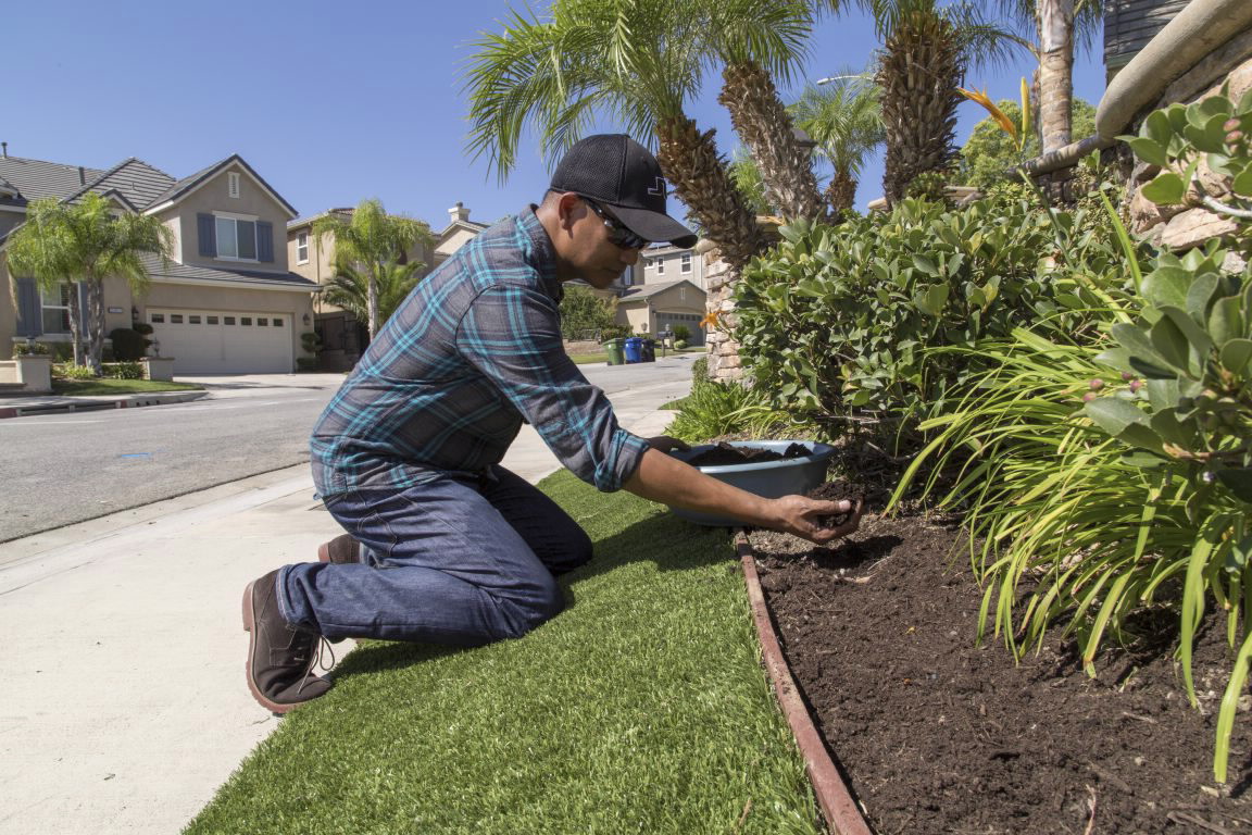 City of LA Residents: Protect young trees by keeping the soil around them cool and moist with FREE, high-quality mulch at various self-serve locations. Get yours: lacitysan.org/freemulch