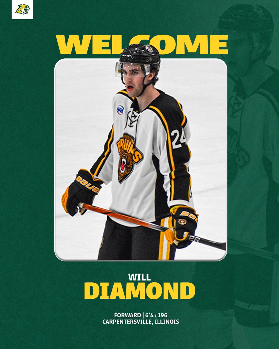 A 6'4' left-shot forward from Carpentersville, Illinois, Will Diamond comes to the Wildcats from the Austin Bruins of the NAHL.  Diamond has played 46 games for the Bruins this season, where he's scored six goals and eight assists for 14 points, including three game-winning