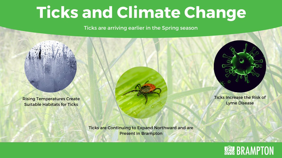 As temperatures rise this spring, so does the risk of tick encounters and Lyme disease. Stay informed and protected!

Learn about tick prevention and safety tips 🔗: peelregion.ca/health/protect…