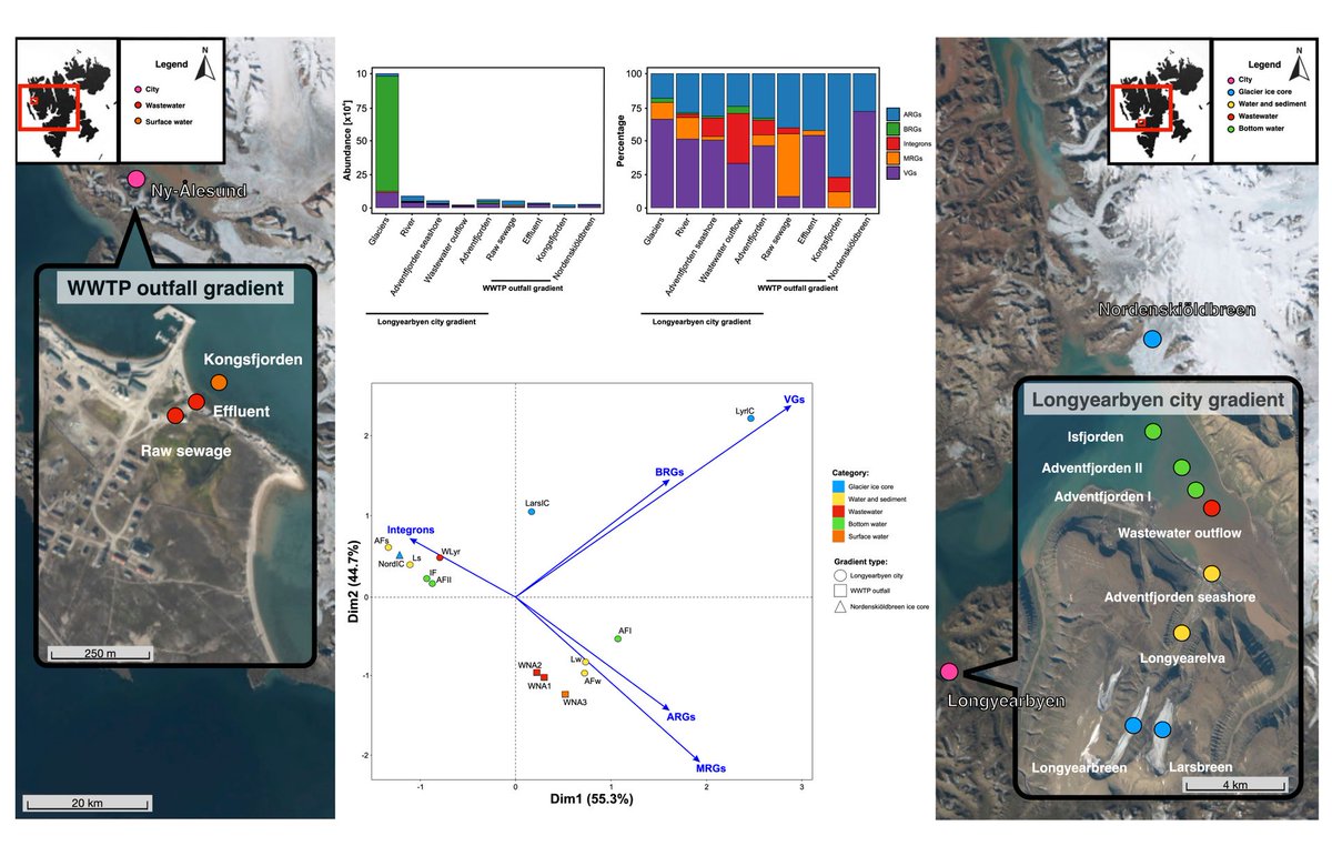 || NEW RESEARCH || Arctic plasmidome analysis reveals distinct relationships among associated antimicrobial resistance genes and virulence genes along anthropogenic gradients 📄 onlinelibrary.wiley.com/doi/full/10.11… @NCN_PL @UAM_Poznan