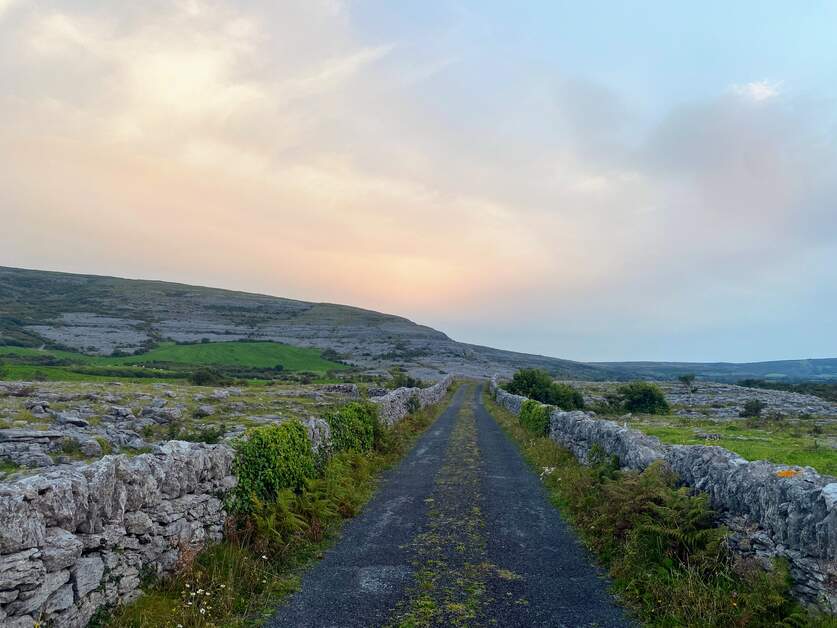 There are very few landscapes like The Burren in County Clare💚🌻 📍Ballyvaughan Wood Loop, County Clare 📸Bernice Naughton #FillYourHeartWithIreland