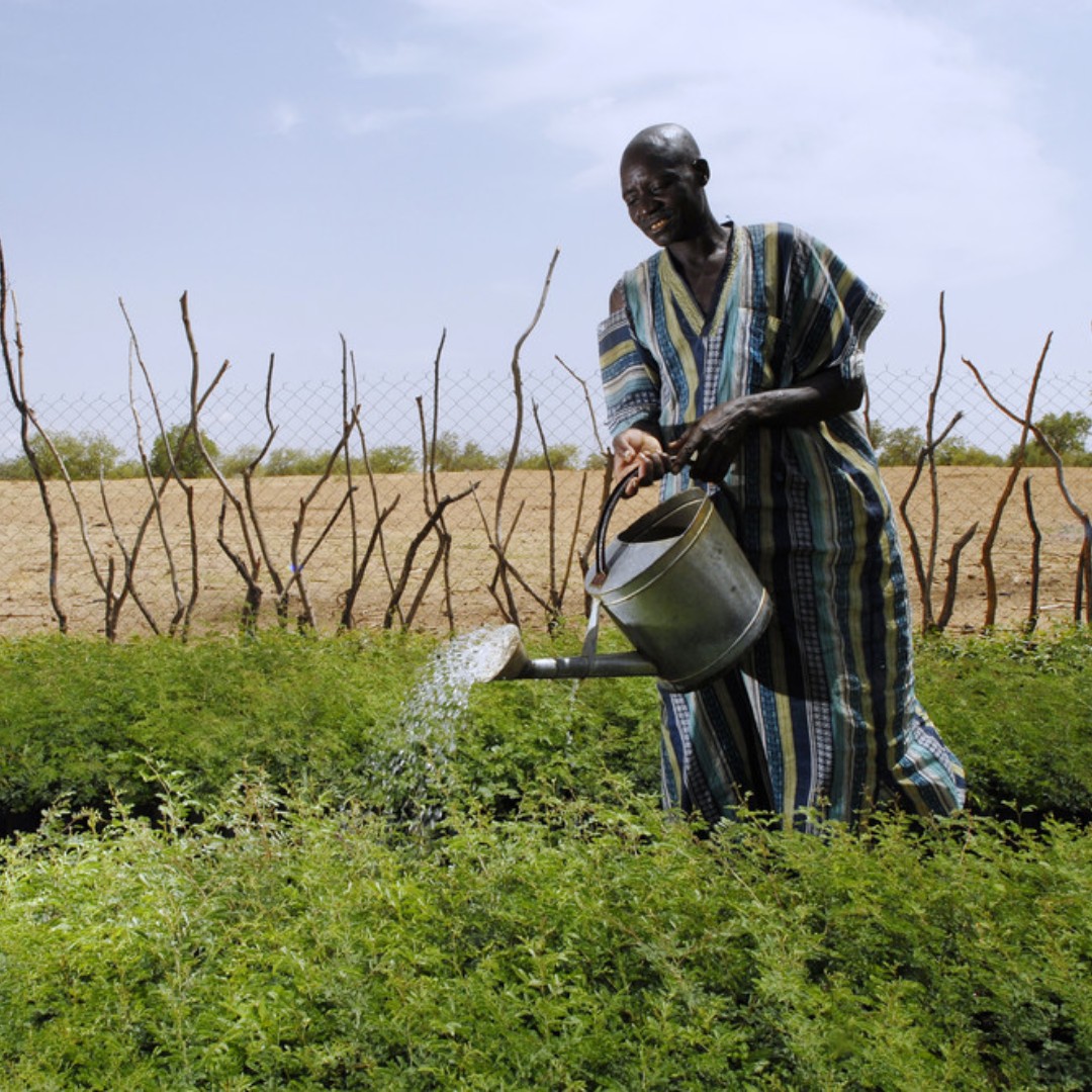 Its benefits are obvious, but small-scale farmers face many barriers to accessing proper irrigation 💧 With it, they could help fill the global food gap – even in the face of growing climate challenges. ow.ly/nHl350RA4qP
