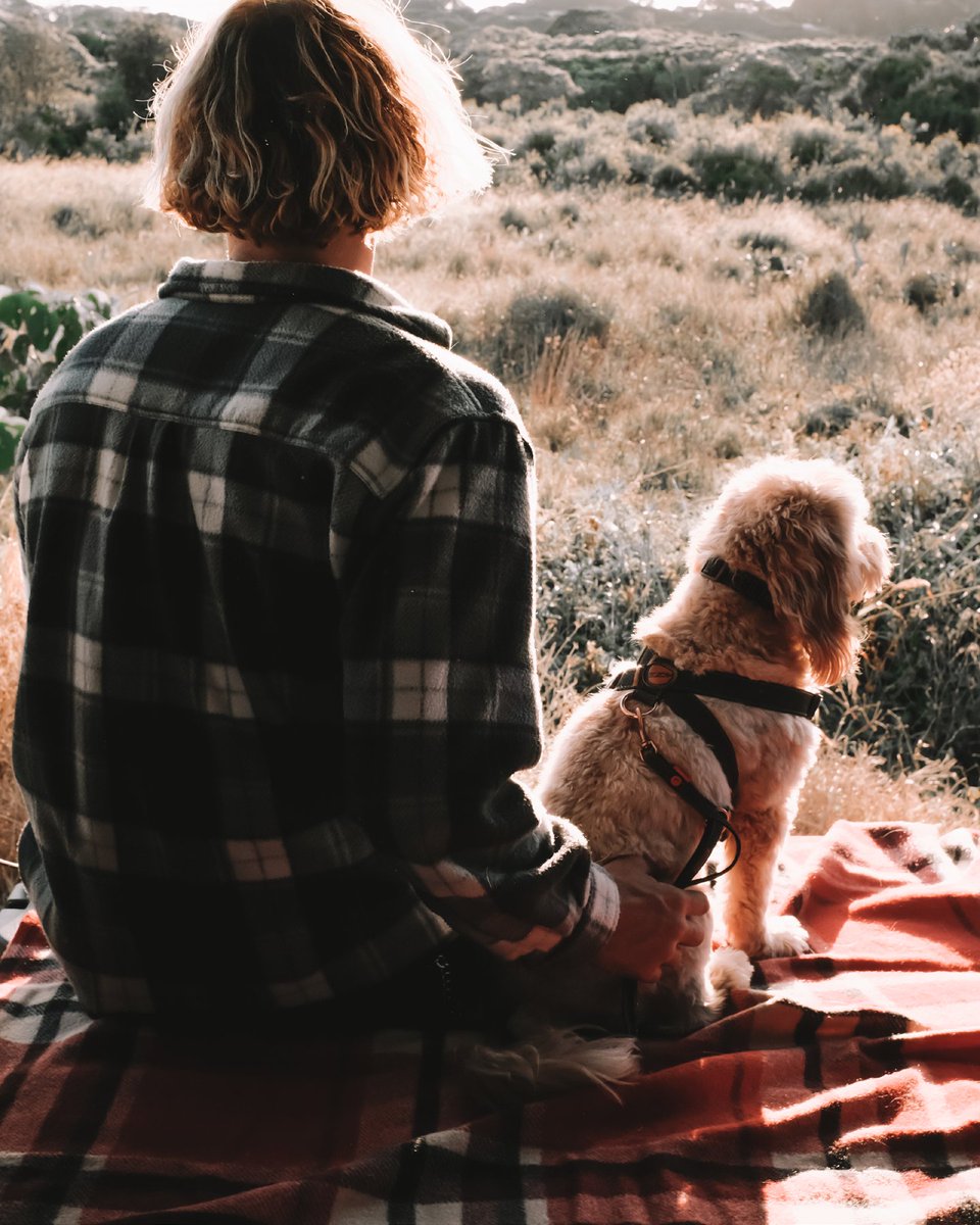 Take a moment to unwind and appreciate the simpler things in life - with your dog of course! #ezydog #dog #relax #adventure #lifestyle #bestfriend