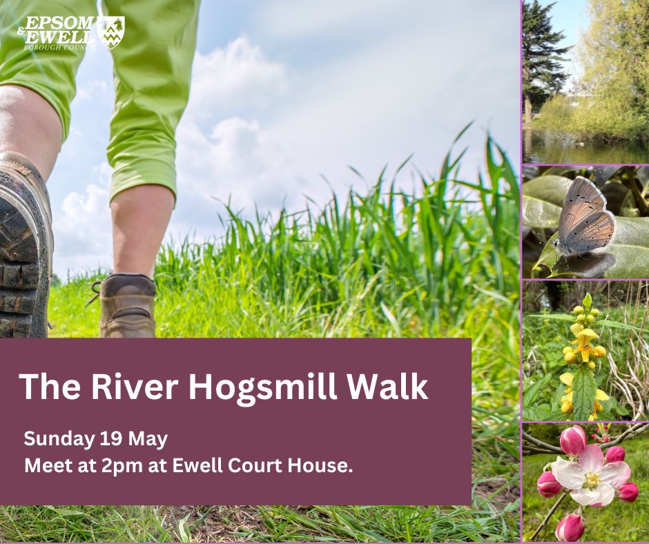 Enjoy a walk along the Hogsmill Local Nature Reserve with a member of Epsom & Ewell Borough Council's Countryside Team. - £5pp, £2.50 under 16s - Meet at Ewell Court House at 2pm - The walk takes approx. 2.5 hrs - Dogs on a lead are welcome. orlo.uk/dG3FQ