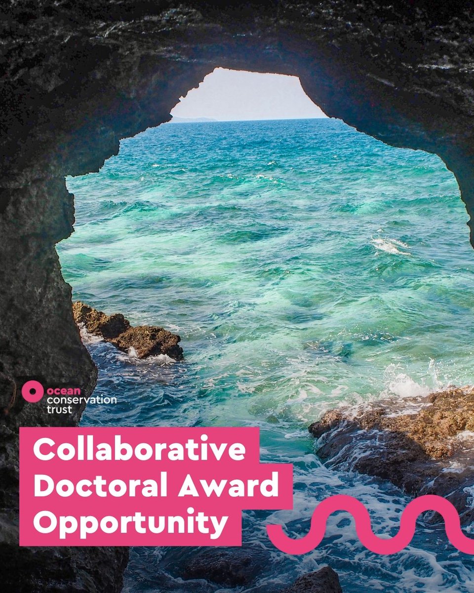 Exciting Opportunity for Aspiring Researchers! 📚🌊 We're thrilled to announce a collaborative doctoral award offering a unique chance to contribute to crucial research in Ocean conservation and literacy! Find out more about the position or apply 👇 ow.ly/MNn850RHZAs