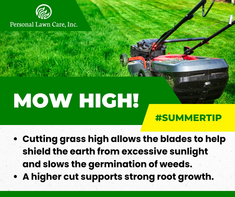 How high should I mow my grass?
Bermuda: 2.5 - 3.5 inches
Zoysia: 2.5 - 3 inches
Fescue: 3 inches or higher

#PersonalLawnCare #LawnCare #LawnSpray #Lawn #Memphis #Tennessee #SummerTip #Mowing #MowingHeight