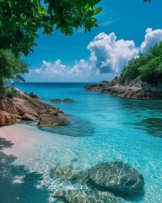 Travel Itinerary tweet media