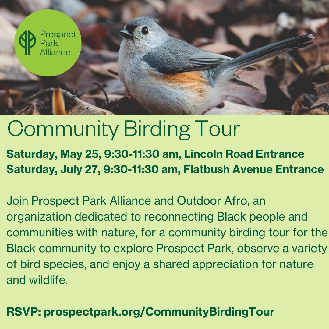 Join Prospect Park Alliance + @OutdoorAfro on Saturday, May 25 and Saturday, July 27 for a community birding tour for the Black community to explore Prospect Park and enjoy a shared appreciation for nature and wildlife: prospectpark.org/CommunityBirdi…