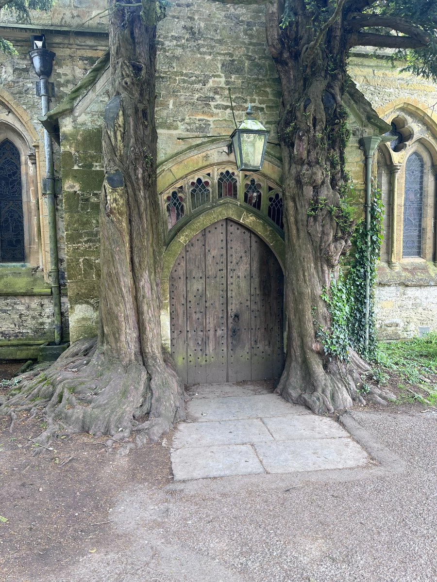 Our trek in the Cotswolds had a Tolkien theme… the landscape was reminiscent of the Shire, and some sites inspired scenes in LOTR … this church door is a model for the Door of Durin.  Massive yews have grown into the stone. Speak, friend, and enter! #WritingCommnunity