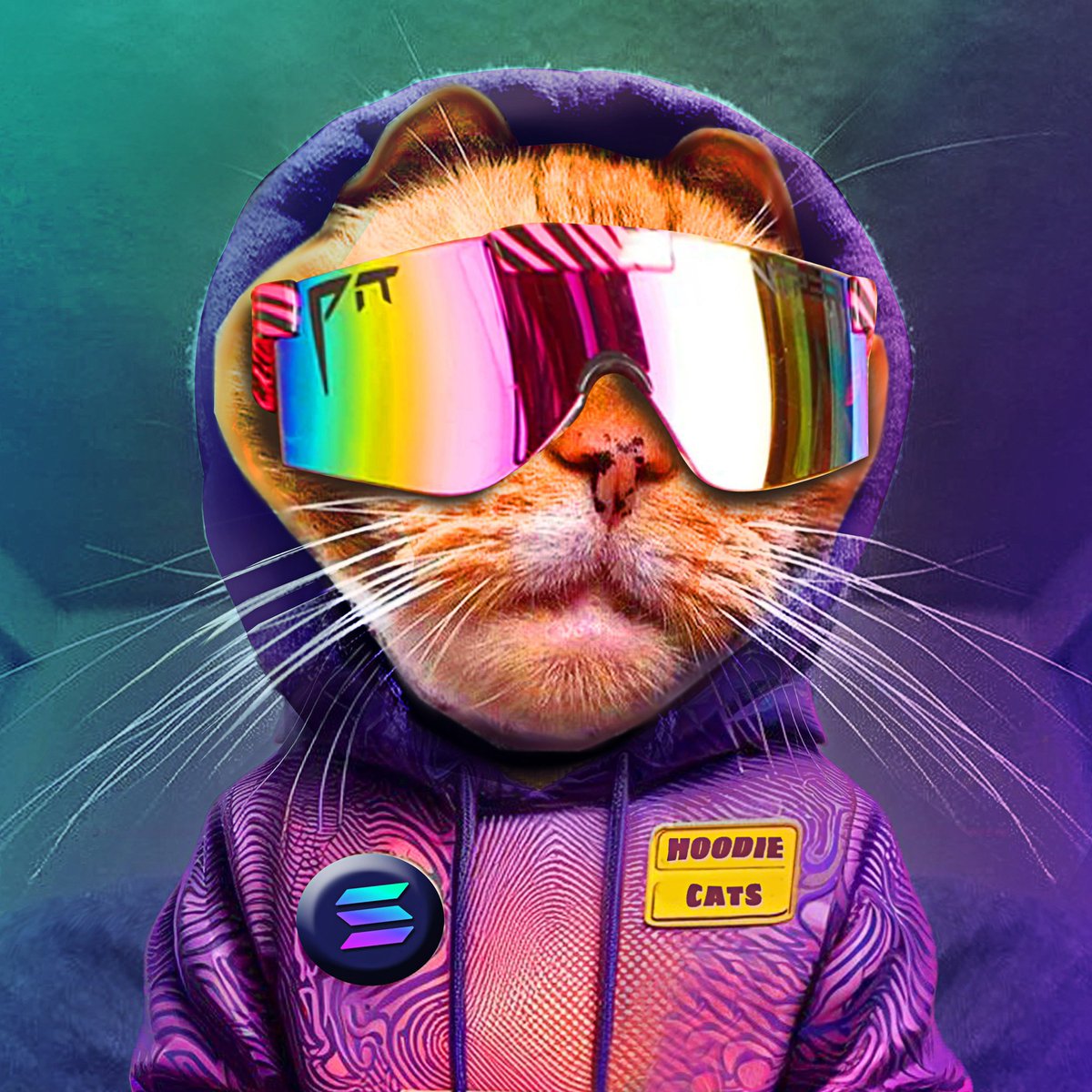 Rarreb2's tweet image. Hi Robinhood we would like to welcome you to $HOODIE to continue promoting honest projects.

Would you like to have your own $HOODIE skin? No problem just contact us ❤️💪

check everything here: @HoodieCatCoin