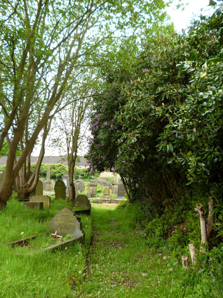 From this morning's walk round Lister Lane Cemetery.