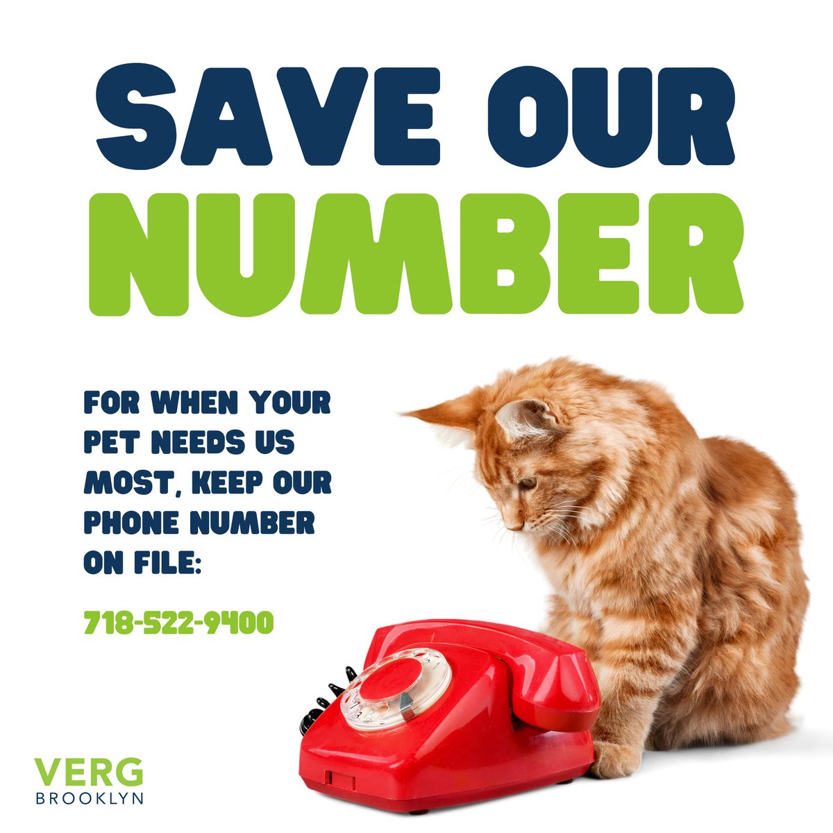 Preparedness for emergency situations isn't just for humans! Keep our number saved for your furry family members' sake. You never know when a quick call could save your pet's life. 🐾☎️ #PetSafety #EmergencyCare