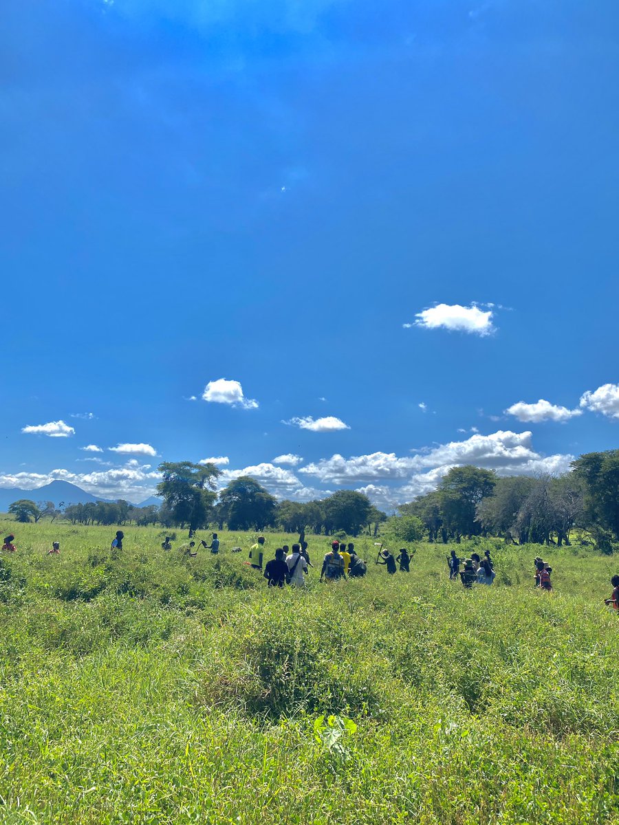 Taita Taveta Wildlife Conservancies Association tweet media