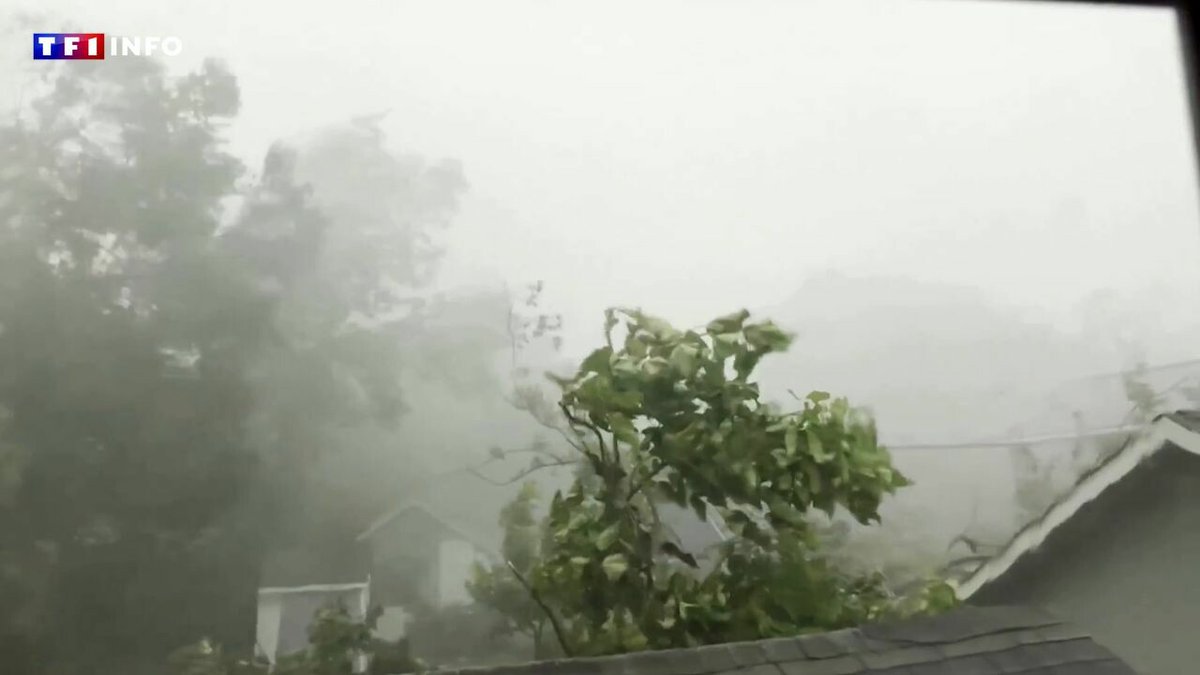 États-Unis : quatre morts après une tempête 'exceptionnelle' au Texas, plus de 800.000 personnes sans électricité ➡️ l.tf1info.fr/dnp