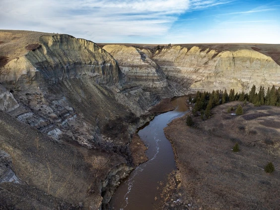 And now this...these are researchers warning everyone to stop taking biodiversity for granted. Save our natural spaces. Pay attention and just STOP. "Let us destroy just one more time" will put us over the edge. #savetherosebud <a href="/KneehillCounty/">Kneehill County</a> <a href="/AB_Enviro/">Alberta Environment and Protected Areas</a> 
calgaryherald.com/opinion/column…