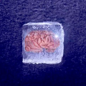 BREAKTHROUGH: 🇨🇳 Frozen human brain tissue brought back to life by Chinese scientists, regaining “normal brain function”. 🧐