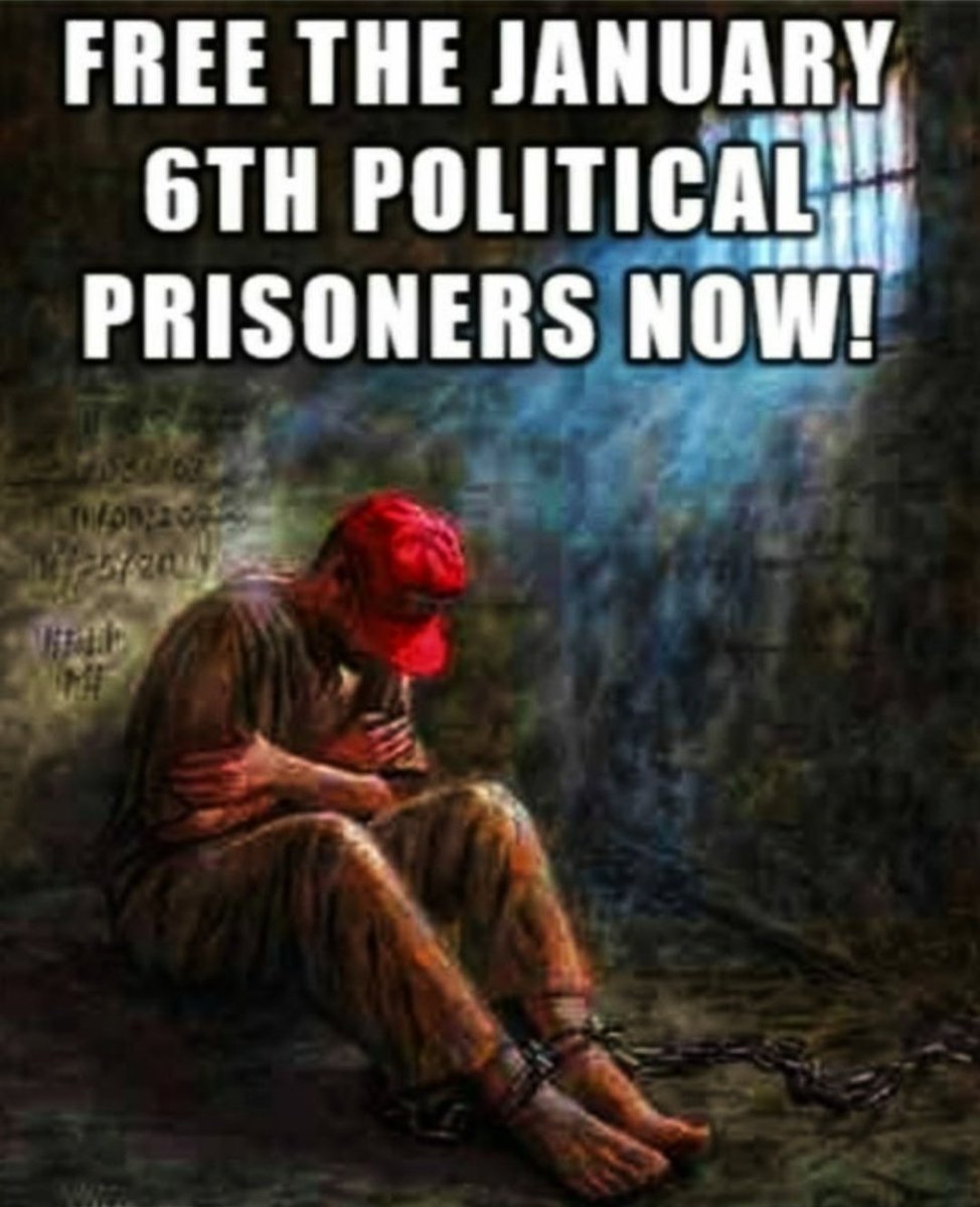 🇺🇸Release American political J6 prisoners🇺🇸‼️ Never forget they still wrongly imprisoned 😡🤬‼️