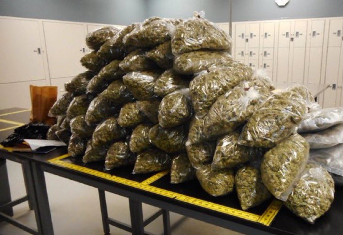 19-year-old woman from London was found with 70 pounds of marijuana at an airport in Boston.