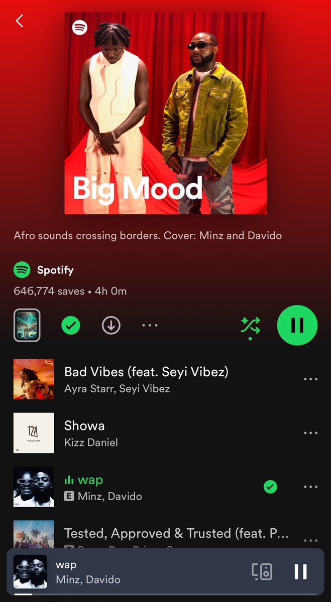 .@MinzNSE & @Davido are the cover of Spotify’s “Big Mood” playlist with their song ‘WAP’ at #3. 🎧: open.spotify.com/playlist/37i9d…