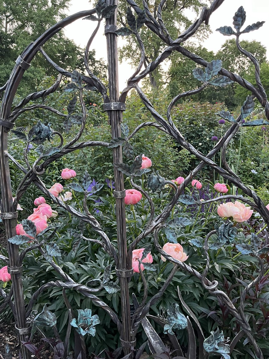 My quick trip to DE-PA this week included a late afternoon stop at Scott Arboretum at Swarthmore College In Media, PA, to see their peonies and beautiful grounds. Here are some highlights. #gardendc #swarthmore #scottarboretum #peonycollection #peonies #peonygarden #flowerfriday