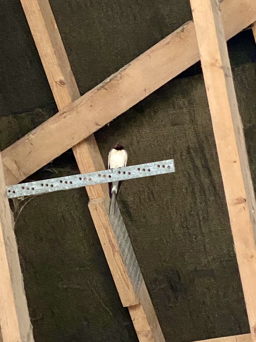 James Morgan tweet media