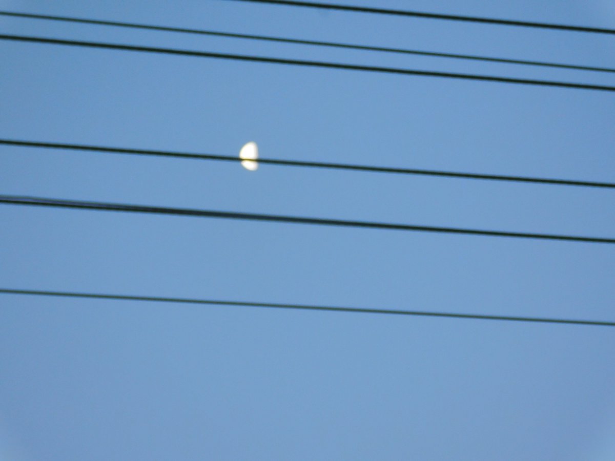 Or maybe the black and blue, Of heavenly hue, Is a six-stringed celestial guitar, Strummed by an ivory plectrum, of Angel fingers in the cloudless night #poetic sky @IMcMillan