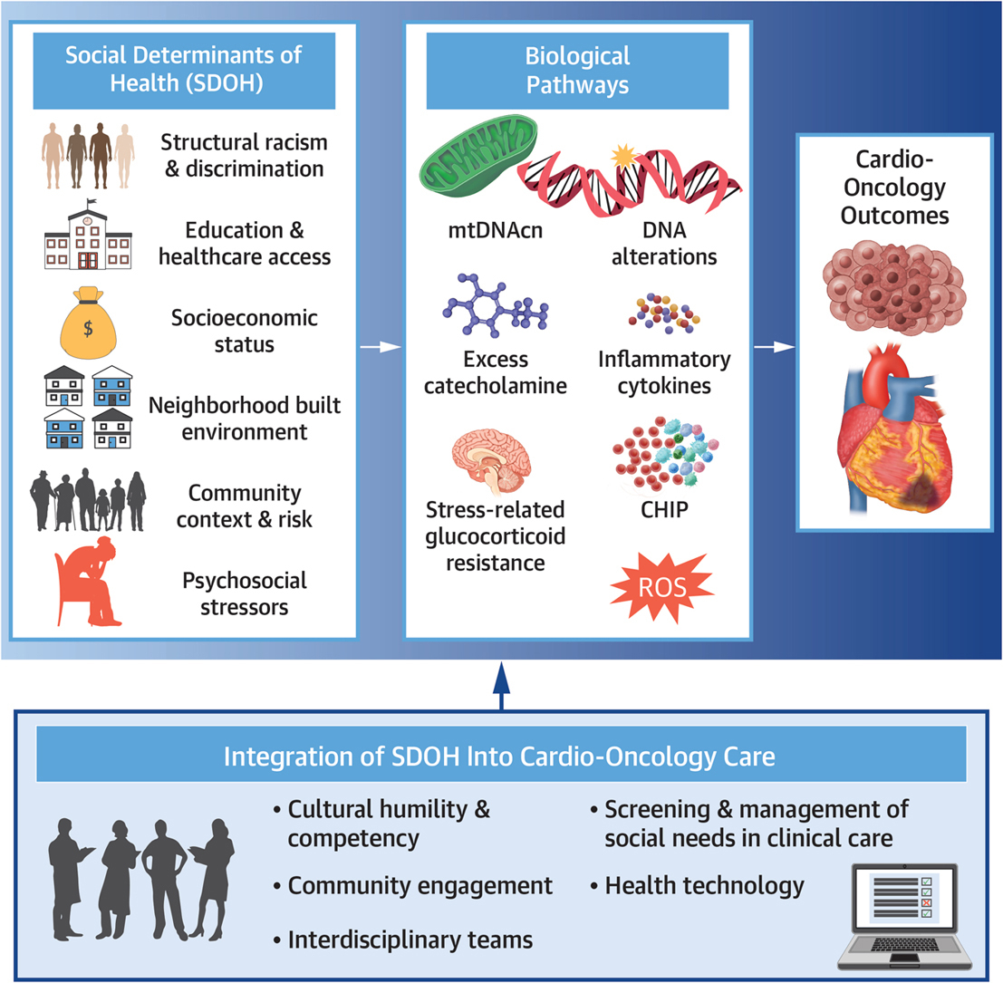 A must-read in #JACCCardioOnc defining #SDOH in #CardioOnc - what we know and where we need to go. More to come in our full issue publishing in June #JACCCardioOnc 🫀tinyurl.com/38mpn374 @PowellWileyLab @FosterOBaah @DrSadhanaJ @pediheart_doc @CarissaBakerSm1 @JACCJournals
