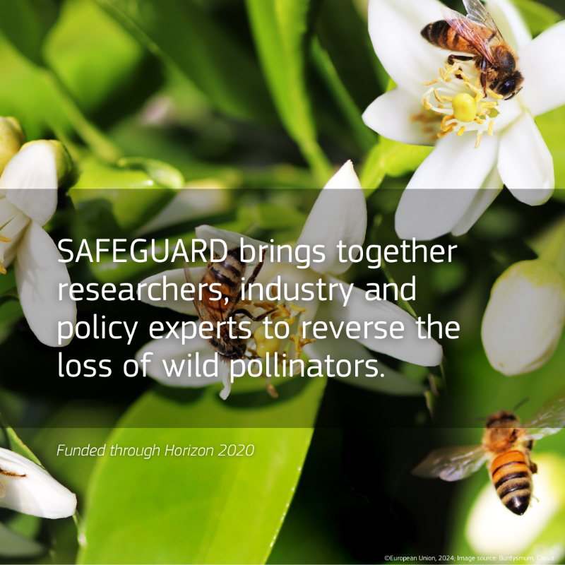 REA_research's tweet photo. Today is #WorldBeeDay π
Pollinators are critical not only for our #foodsecurity but also for wild plants and other pollinator-dependent organisms.
Find out how EU-funded projects help reverse the decline of #bees & other pollinators in Europe.