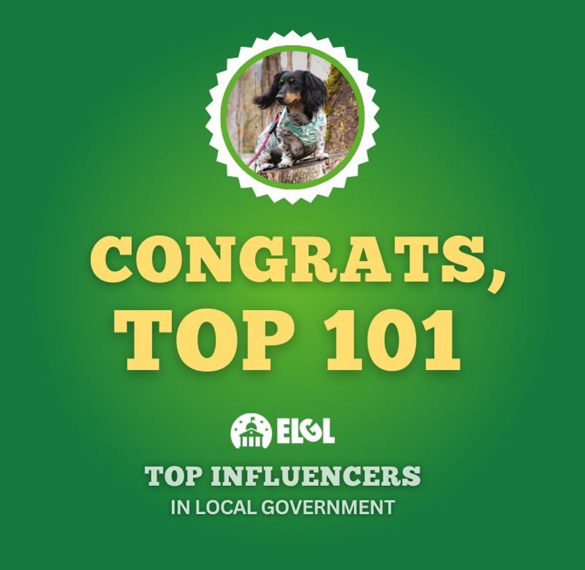 Albert “Trey” Fuccillo tweet media