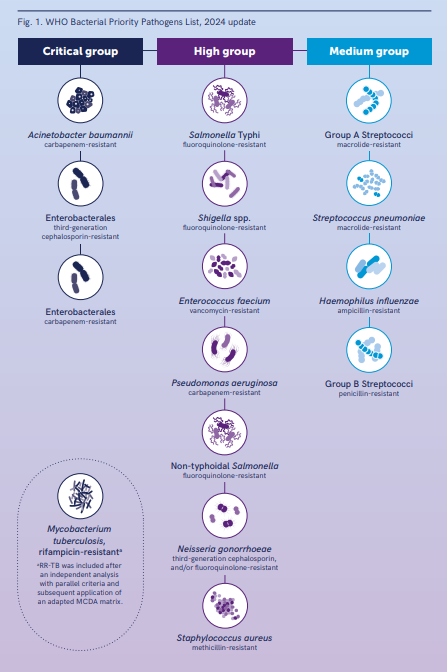 WHO publish their 2024 Bacterial Priority Pathogens List:
who.int/news/item/17-0…

Where does your favourite pathogen sit?
#AntimicrobialResistance