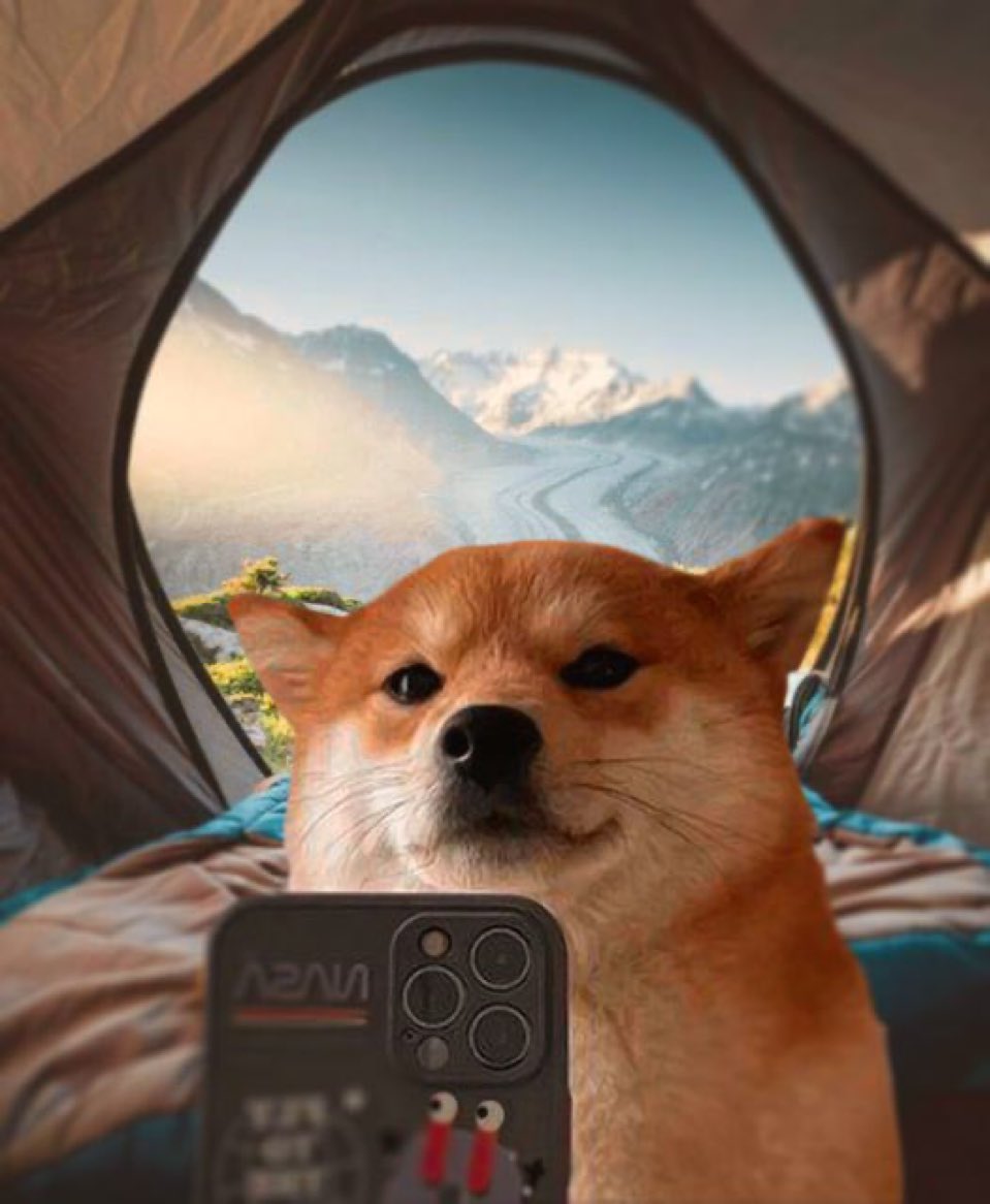 I fucking love dog memecoins and I believe they are going to get back max attention soon 👀

I got myself some $selfie, really cool meme with good potential 💦

s/o @dj_budsol