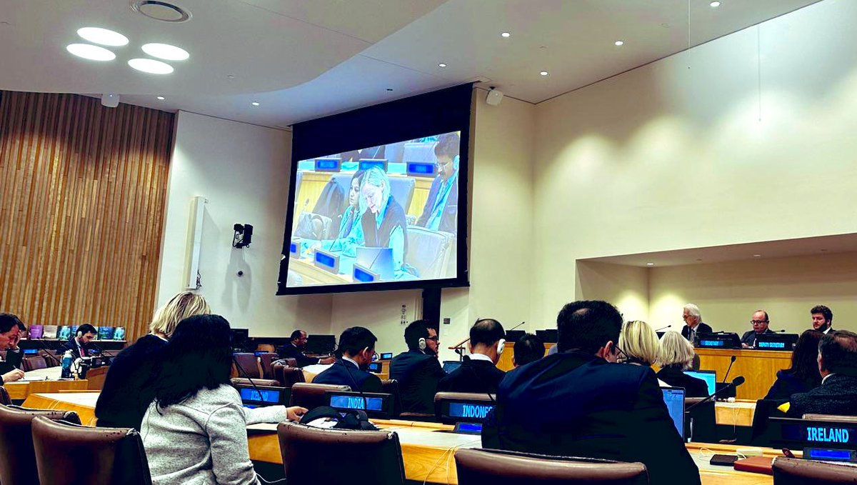 Iceland at UN 🇮🇸 tweet media