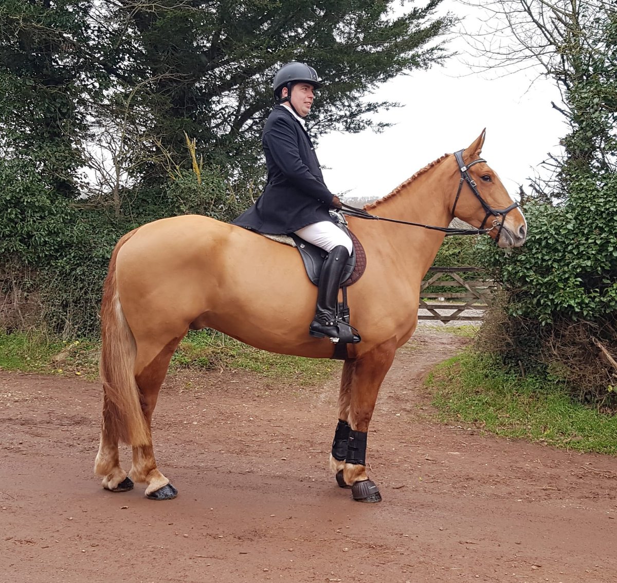 Devon County Show (@devoncountyshow) on Twitter photo The phenomenal Para-Equestrian rider, Edward Chanin will be performing dressage displays in the Countryside (Phil Greed) Arena today at 12.30 pm! π΄ The phenomenal Para-Equestrian rider, Edward Chanin will be performing dressage displays in the Countryside (Phil Greed) Arena today at 12.30 pm! π΄