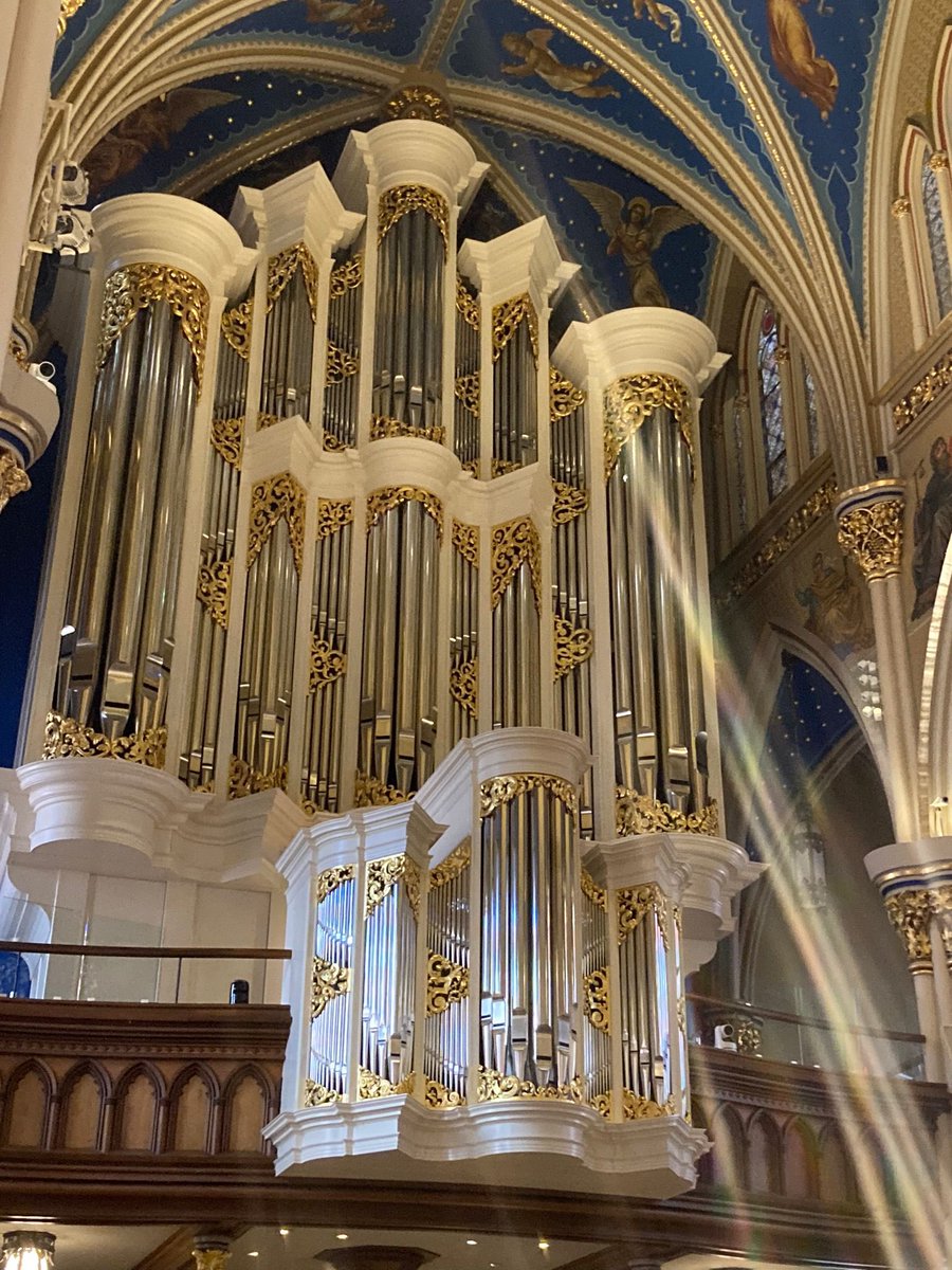 Darren Holden tweet media