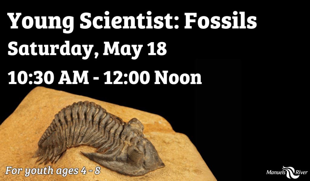We really dig fossils! Join us at Manuels River as we discover all different types of fossils and get hands-on in our exhibits. Make your own fossil cast, and if weather permits, take a trip to our fossil site! GO NOW: 1l.ink/BQ62GH3