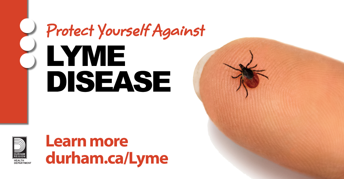 Ticks are active in #Durham. Take precautions to protect yourself, family and pets against tick-borne diseases such as #LymeDisease. Subscribe to our webpage to learn about: ✅ Tick Identification ✅ Protecting yourself ✅ Who's at risk, & more! Visit durham.ca/WestNile