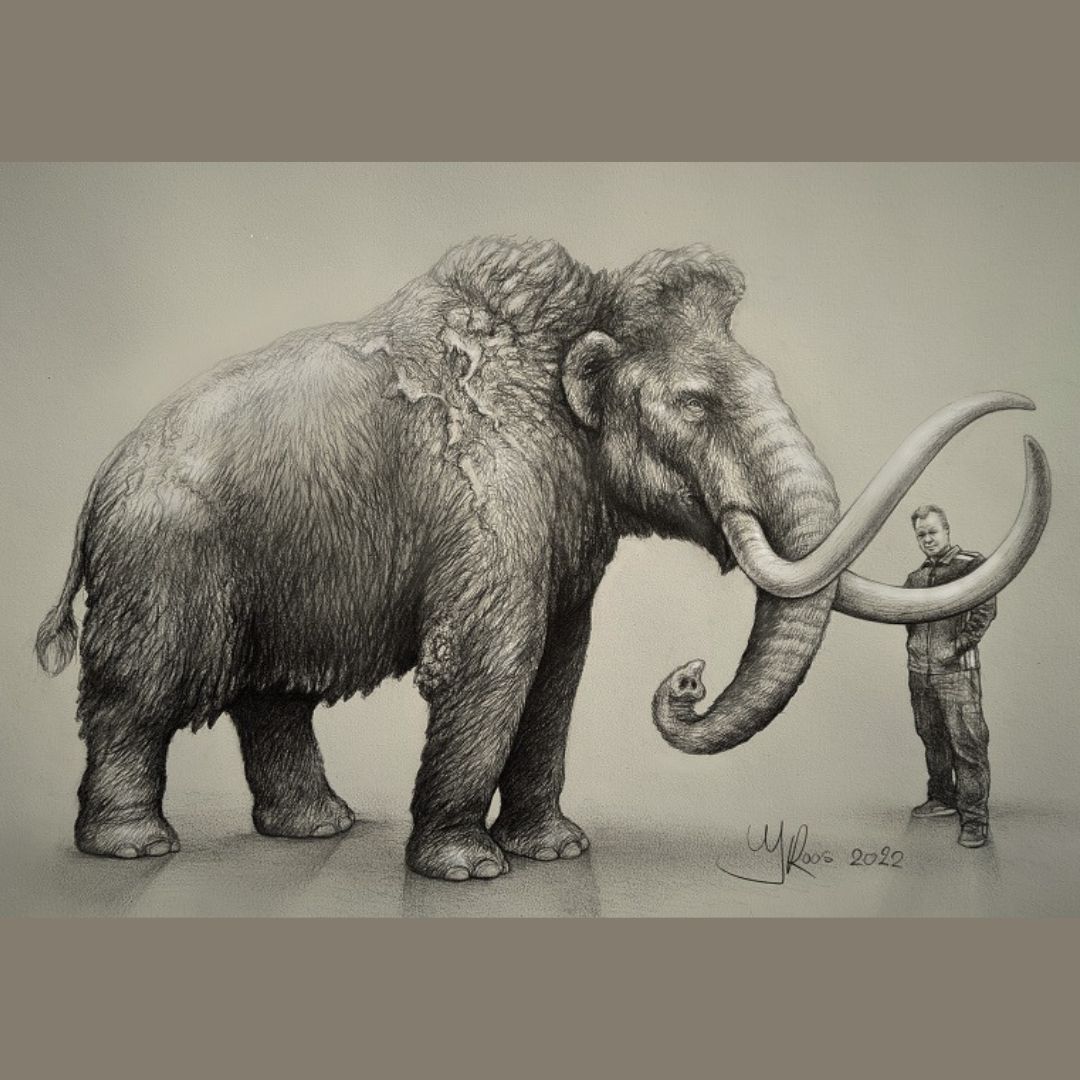 Pencil drawing woolly mammoth & me 🐘

Follow me for my latest work👌

#paleo #mammoth #artist #artwork #animalart