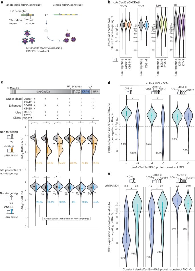 Engineered CRISPR-Cas12a for higher-order combinatorial chromatin perturbations go.nature.com/3UTnSXM