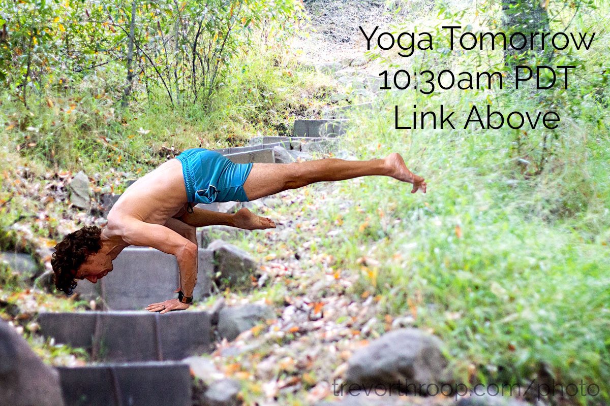 Taking the path step by step and trying to enjoy the journey are things I’m working on in my practice. Join me tomorrow at 10:30am PDT. 🔺 eventbrite.com/e/trevors-zoom… 🔺 #streamingyoga #onlineyoga #yogateacher #yogaclass #donationyoga #mixedlevelyoga #singlelegcrow #ekapadabakasana