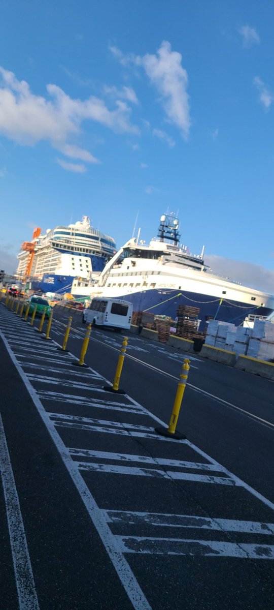 No_Name_Bum's tweet image. Another day in the stereotype 
#Dago #Dockwork