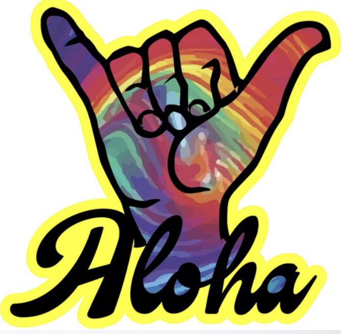 Aloha Happy Friday 🤙 

GOOD VIBES ONLY 🌞

#ShareTheShaka #StaySassy #ALOHA