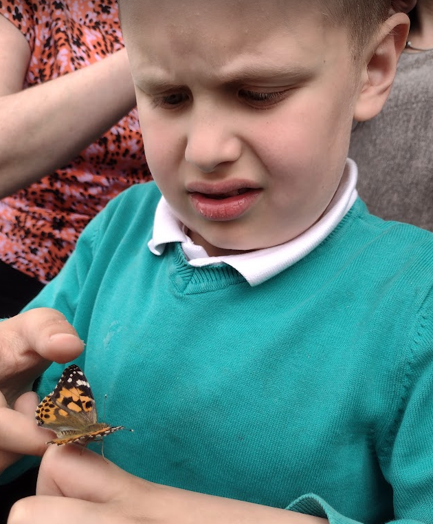 CPickeringPri's tweet photo. Amazing transformations from hungry caterpillars to beautiful butterflies! #CPHUB Awe and wonder! https://t.co/7ewPgTuxX4