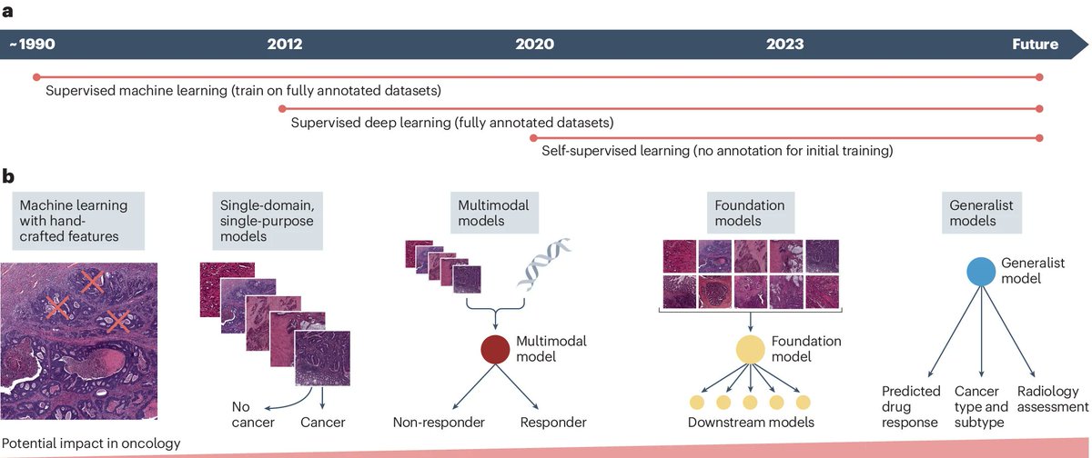 A 'Guide to artificial intelligence for #cancer researchers'  
at rdcu.be/dIfda via <a href="/NatureRevCancer/">Nature Reviews Cancer</a> 
by <a href="/RaqPerezLopez/">Raquel Perez-Lopez</a>  <a href="/GhaffariNarmin/">Narmin Ghaffari Laleh</a> <a href="/AI4Pathology/">Faisal Mahmood</a> <a href="/jnkath/">Jakob Nikolas Kather</a> 
#AI #ArtificialIntelligence #MachineLearning