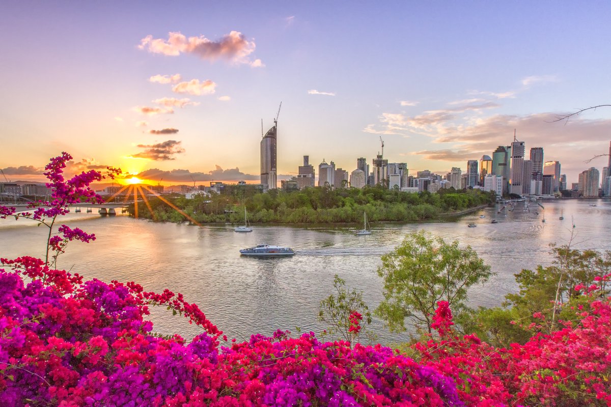 Take your research worldwide!

Apply for the #SNL2024 travel award for a chance to present your research in Brisbane, Australia! Find out more: bit.ly/3QM9r6w

Application Deadline: July 1, 2024

#Neurobiology #Language #Science #Neuro
