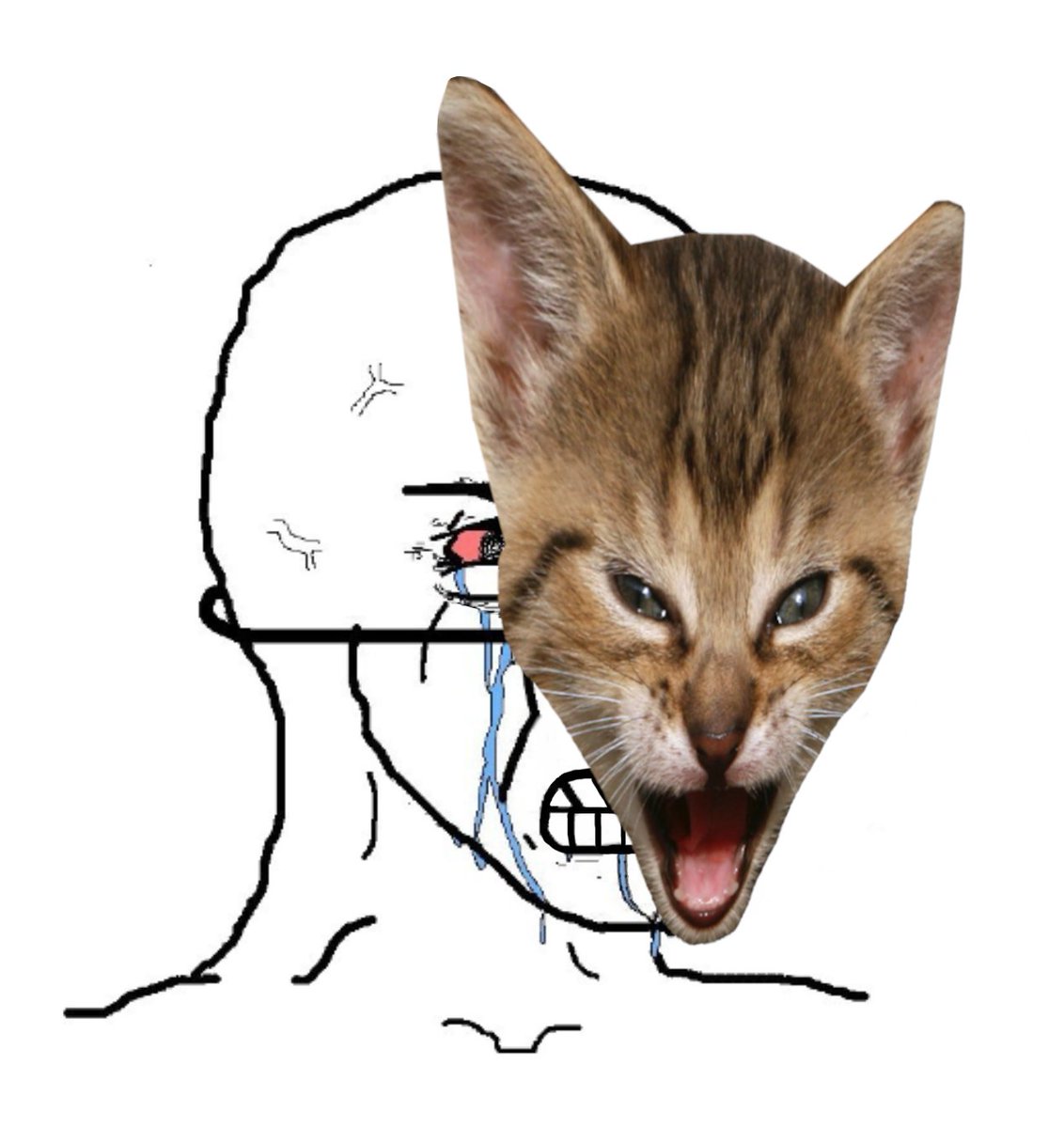 TheRoaringKitty's tweet image. 